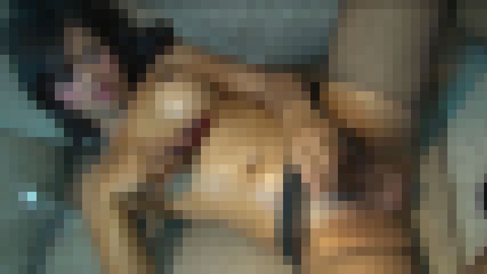 ホットでムラムラしたタイの巨乳レディボーイが、必要なザーメンを求めて竿をピストンする。 クッキー 画像