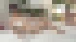 花鳥風月 ～Neoホワイトレーベル～ Part3　サンプル画像07