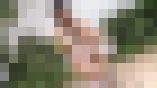 白い風船と三毛猫　サンプル画像03