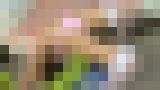 ニーハイコレクション ?絶対領域? 西野花恋 サンプル画像09