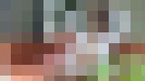 たっぷり 椎名もも Part2 サンプル画像07