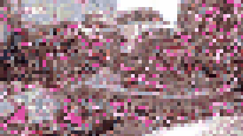 爆乳メガネっ娘もかちゃん21才☆ゴム無しペニスのピストンにおっぱいをブルンブルン振り乱して大絶叫！「もっと出ししてぇ?」熱い射精にハマった中出し大好き娘のおねだりラブラブ種漬けSEX！　サンプル画像4