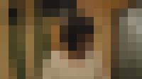 女子大生１　歯みがき　フルＨＤ高画質　完全オリジナル　サンプル画像7
