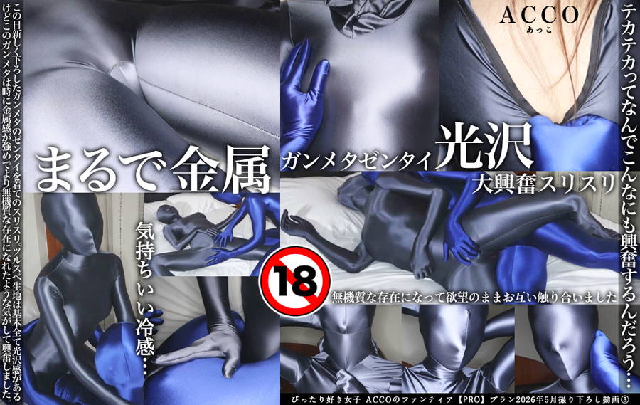 【HD】『ガンメタゼンタイスリスリ』(ACCOの自主制作)　パッケージ画像