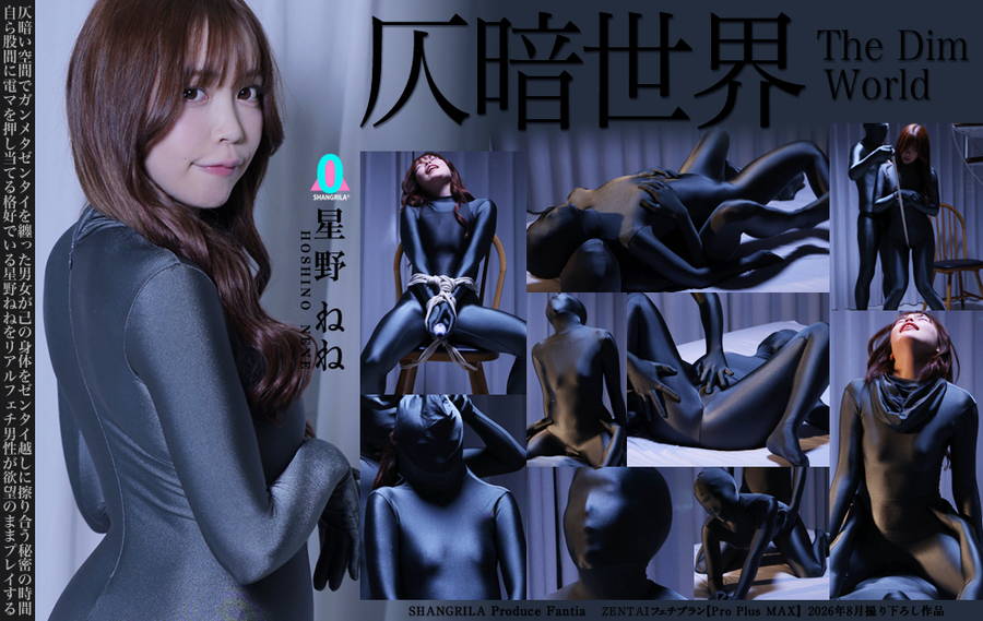 【HD】灰暗世界 星野ねね 大画像
