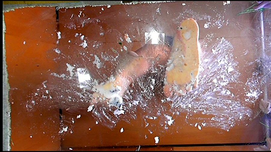 【前編】美希ハイヒールで踏んだ寿司を「完食ドレイ」に食べさせる!　サンプル画像06