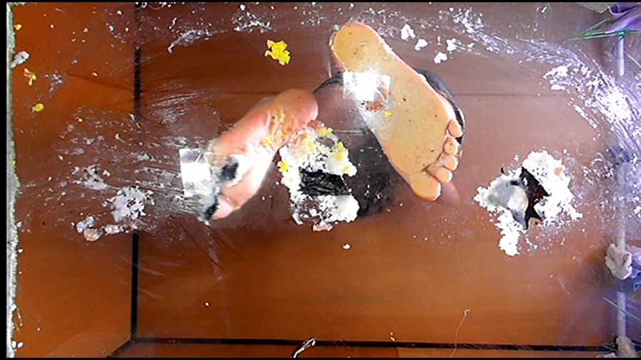 【前編】美希ハイヒールで踏んだ寿司を「完食ドレイ」に食べさせる!　サンプル画像10