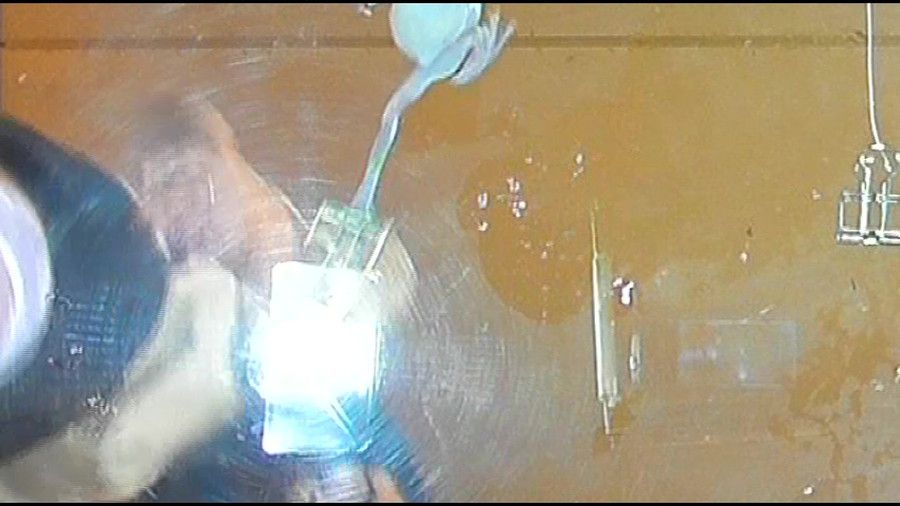長身スレンダー女性が赤・白・肌色ストッキングでカエル踏み! 屋外はイモリ!　サンプル画像08