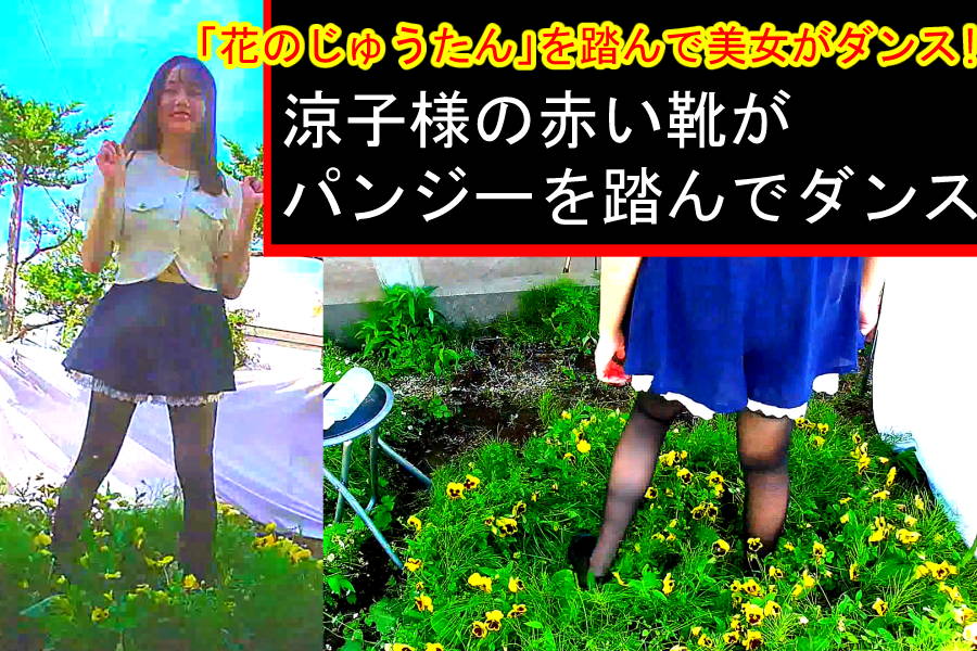 「花のじゅうたん」を踏んで美女がダンス!〜涼子様の赤い靴がパンジーを踏んでダンス〜　パッケージ