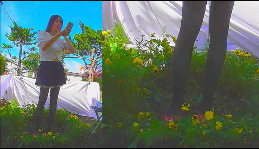 「花のじゅうたん」を踏んで美女がダンス!〜涼子様の赤い靴がパンジーを踏んでダンス〜　サンプル画像06