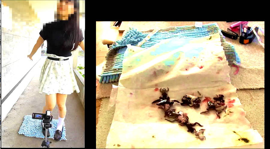 カエルを仕込んだ玄関マットを踏んで2人の美女がダンス!　サンプル画像07