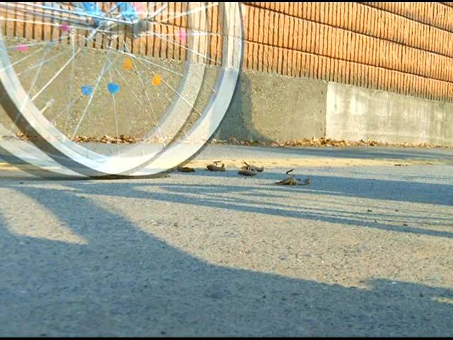 【復刻版】ハイソックスとローファーそして自転車のタイヤがザリガニを踏み潰す!(前編) サンプル画像01