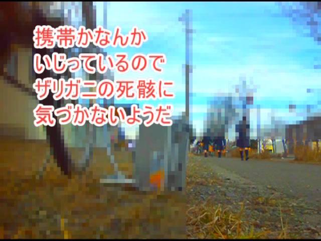 【復刻版】ハイソックスとローファーそして自転車のタイヤがザリガニを踏み潰す!(後編)　サンプル画像06