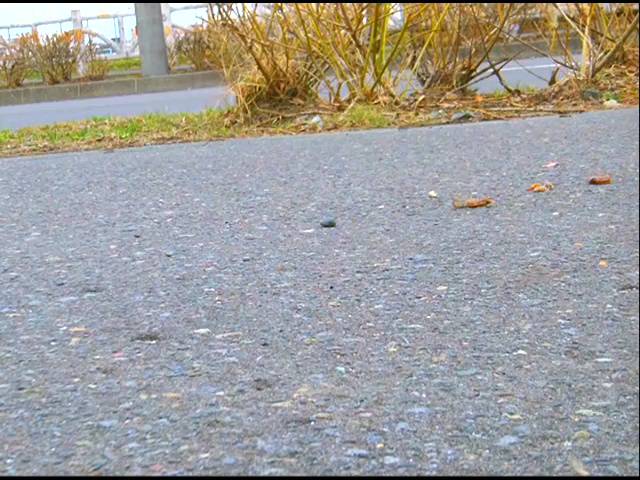 【復刻版】ハイソックスとローファーそして自転車のタイヤがザリガニを踏み潰す!(後編)　サンプル画像09