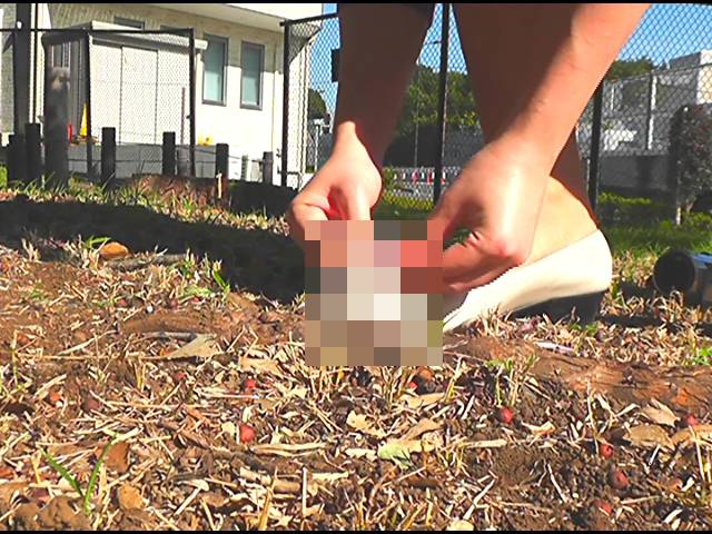 小さな生き物が女王様のパンプスやハイヒールサンダルで踏み潰される!中編　サンプル画像05