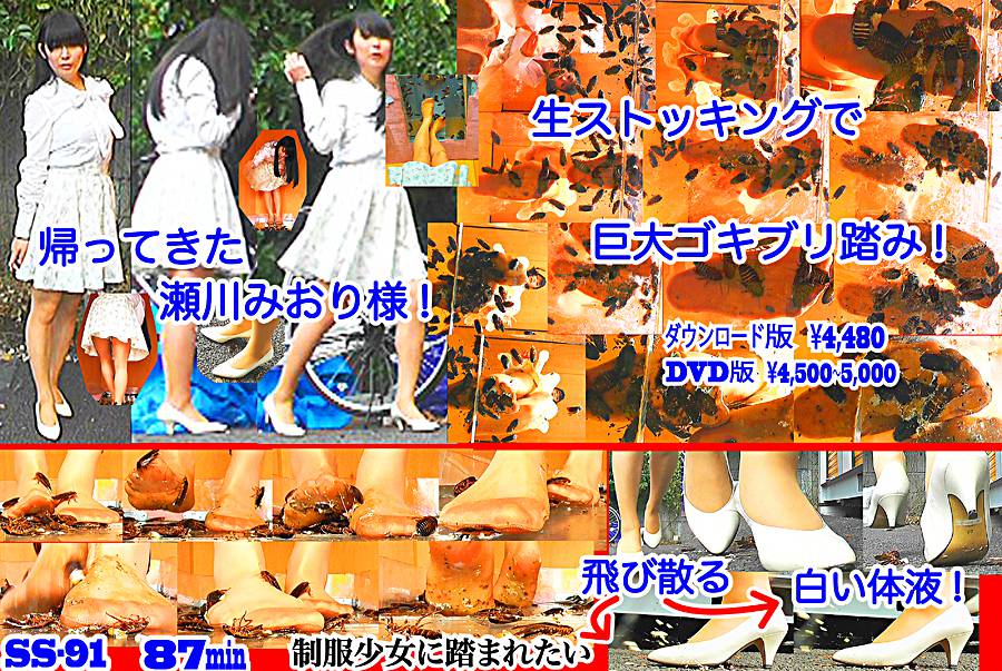 帰ってきた瀬川みおり様が巨大ゴキブリの大群を生ストッキングで踏みにじる !「スーパー・ワイド映像」で!-後編-　パッケージ画像