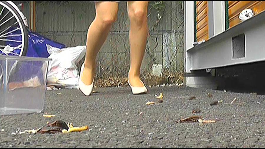 帰ってきた瀬川みおり様が巨大ゴキブリの大群を生ストッキングで踏みにじる !「スーパー・ワイド映像」で!-後編-　サンプル画像06