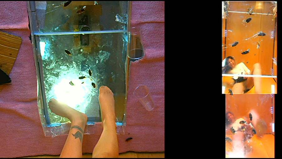 黒髪女性が生ストッキングで巨大ゴキブリを踏み潰す!-後編-　サンプル画像08