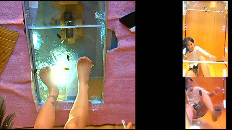 黒髪女性が生ストッキングで巨大ゴキブリを踏み潰す!-後編-　サンプル画像09