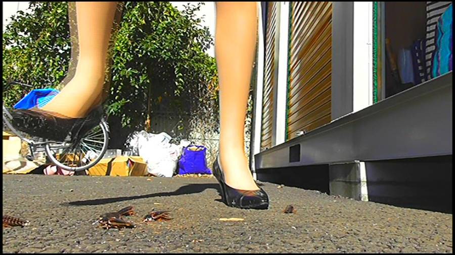 25cmパンプスの瑠伊様が巨大ゴキブリの大群をグチャグチャと踏み潰す!!-後編-　サンプル画像05