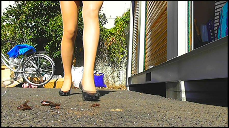 25cmパンプスの瑠伊様が巨大ゴキブリの大群をグチャグチャと踏み潰す!!-後編-　サンプル画像06