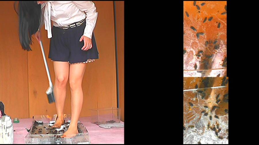 瀬川みおり様が生ストッキングで巨大ゴキブリを「ネチョネチョ」と踏み潰す!④ サンプル画像12