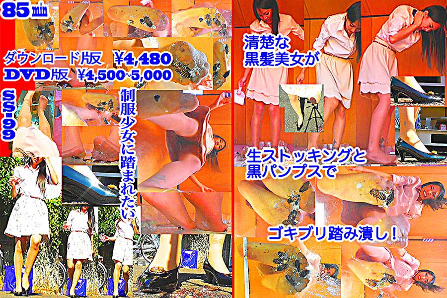 黒髪女性が巨大ゴキブリを一匹ずつ全体重をかけグリグリと生ストッキングで踏む!-中編-　パッケージ画像