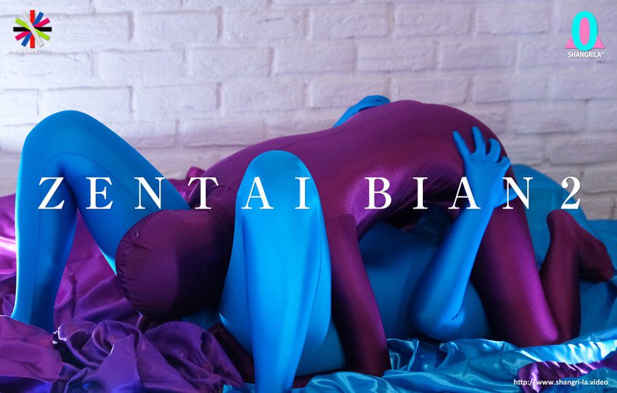 【HD】ZENTAI BIAN 2　サンプル画像11