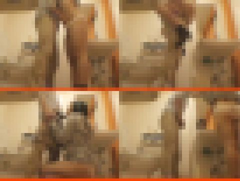 個室LOVERS【25】カリも丁寧に舐ちゃう！可愛らしい女子○生の彼女とラブラブチュッチュ･･･超卑猥でいやらしい～(≧∇≦)　サンプル画像1