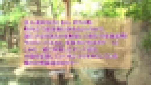 【クリスタル映像】町内会の温泉旅行で男子はなぜか僕一人。 #001 DIY-082-01　サンプル画像1