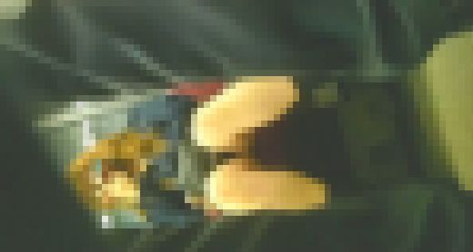 お姉さん対面撮り＃9　サンプル画像2