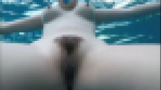 SEXはアウトドアで #004　サンプル画像3