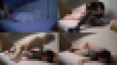 【四月限定出品】思い出の…性春【セット】　サンプル画像2