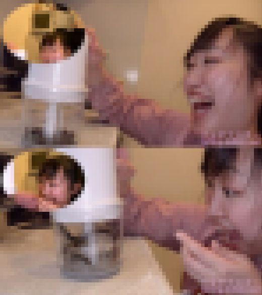 【特典動画付】小川ひまりの生きたまま調理して食べるシリーズ1～3まとめてDL　サンプル画像3