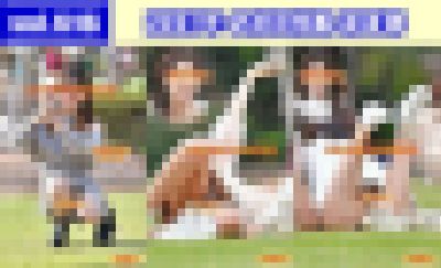 vol.616:2021年 お花見特集 第8弾 サンプル画像