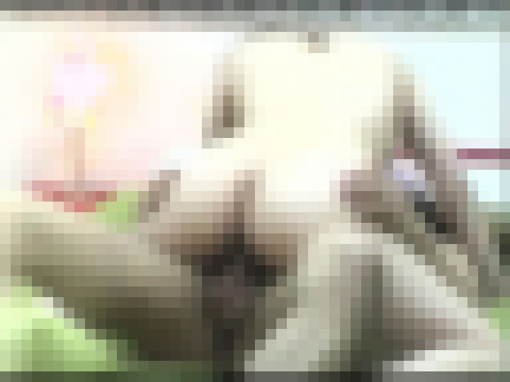 ラブホ究極の隠撮 #011 サンプル画像