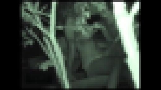 【ニート紳士】カーSEX盗撮倶楽部 #028 [PKC-082-06]　サンプル画像1