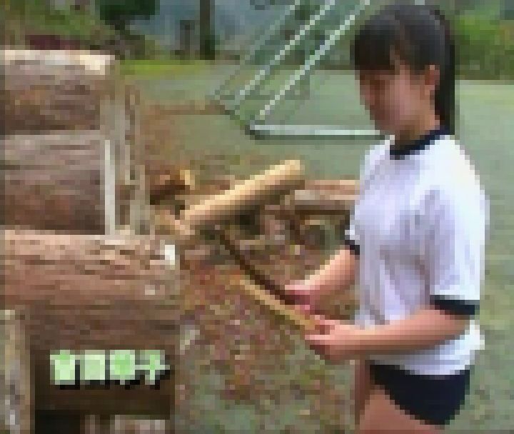 ブルマ図鑑2 サンプル画像