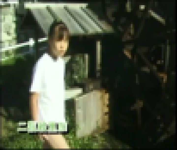 ブルマ図鑑8 サンプル画像