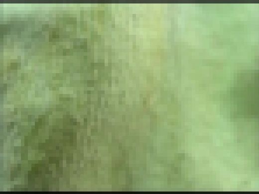 学生モデルの脱ぎたてパンツ拝見 #008　サンプル画像3