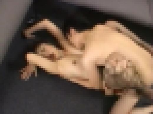 抱きたい五十路!File.3 サンプル画像3