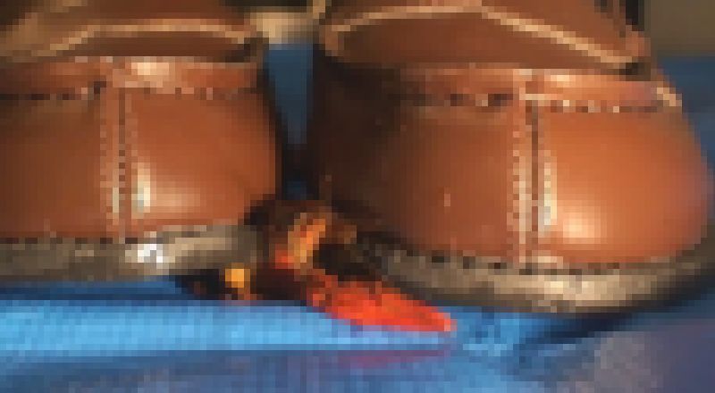 アイドル級美少女めいちゃんのドレミ演奏＆洗面所でザリガニクラッシュ サンプル画像