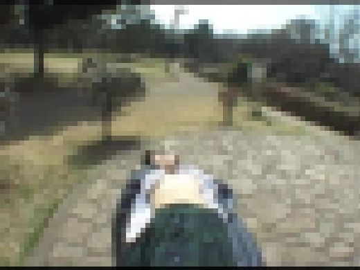 【ジャネス】Ｍ嬢ゲリラ露出 #046 DFTA-046-05　サンプル画像2