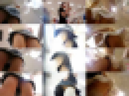 マイスターオリジナルパンチラ vol.1063　サンプル画像3