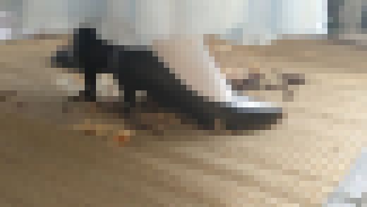 9-2　パンプスのまま上がり込んできたお嬢様がケーキを滅茶苦茶に踏みにじる　お得セット　サンプル画像3