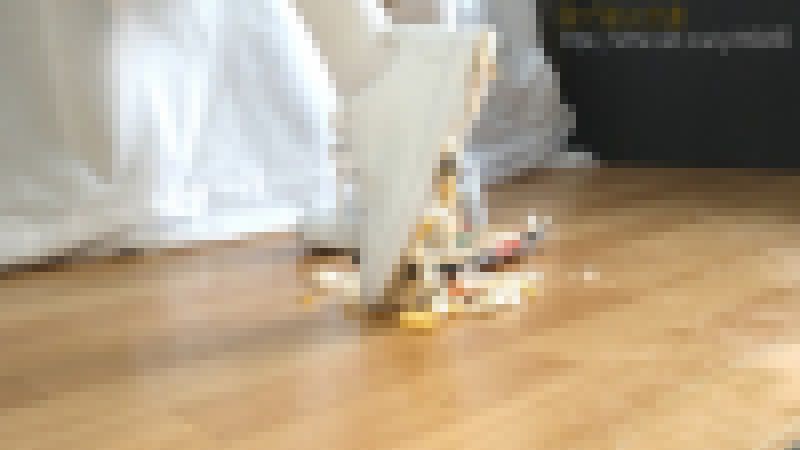 13-1　スニーカーで3種類の食べ物を踏み潰す サンプル画像