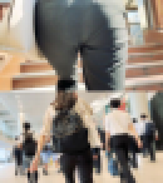 歩行記録0004　サンプル画像2