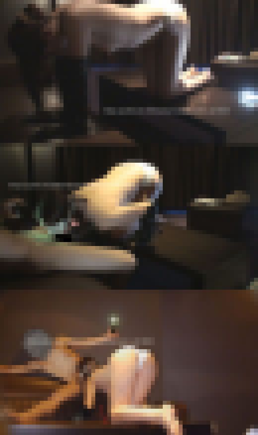 【完全俯瞰ver】犬の首輪　実録　姫顔　犬化手袋　タワマンガール　子育ての癒しにセフレが欲しくて【生々しいガチ映像】ほぼノーカッ　サンプル画像2