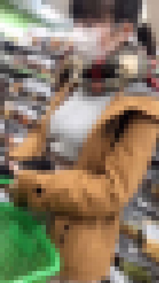 お買い物中の眺め2　サンプル画像1