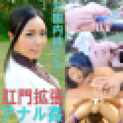 【アナルSEX】元国内線CAのアナルを拡張して生ハメ【個撮】 サンプル画像